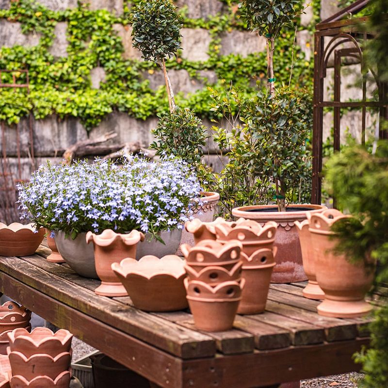 Empty Planters