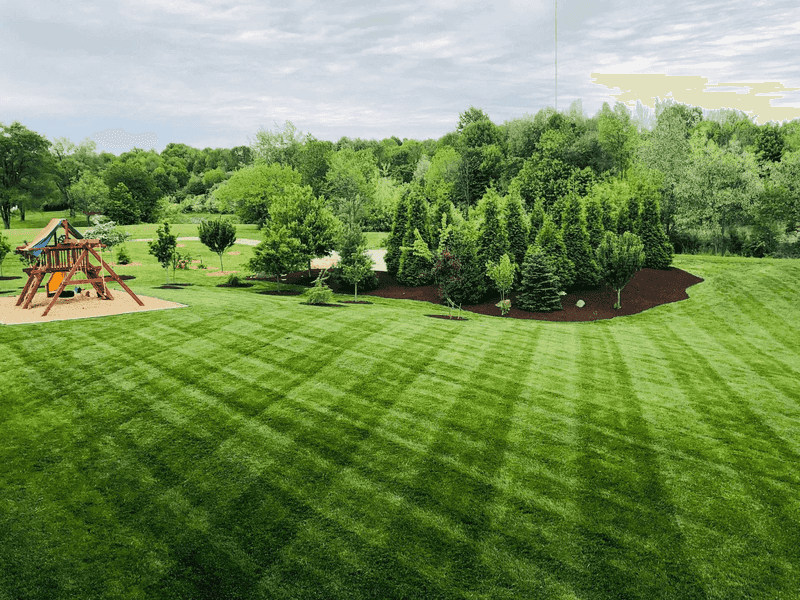 Enhances Lawn's Natural Resilience