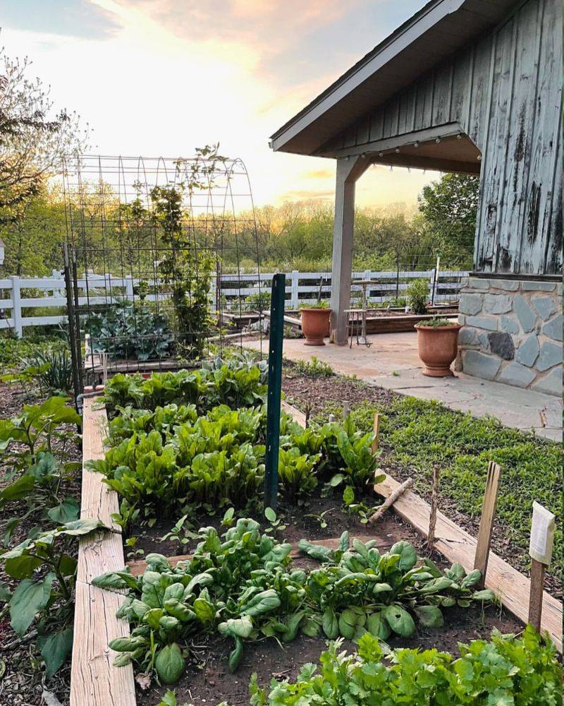 Enrich Vegetable Gardens