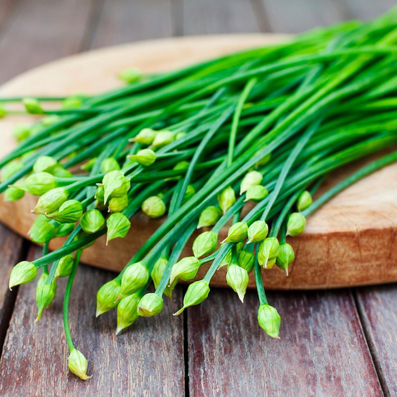 Garlic Chives