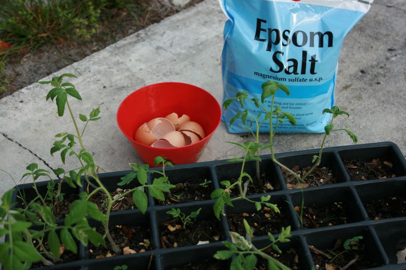 Epsom Salt