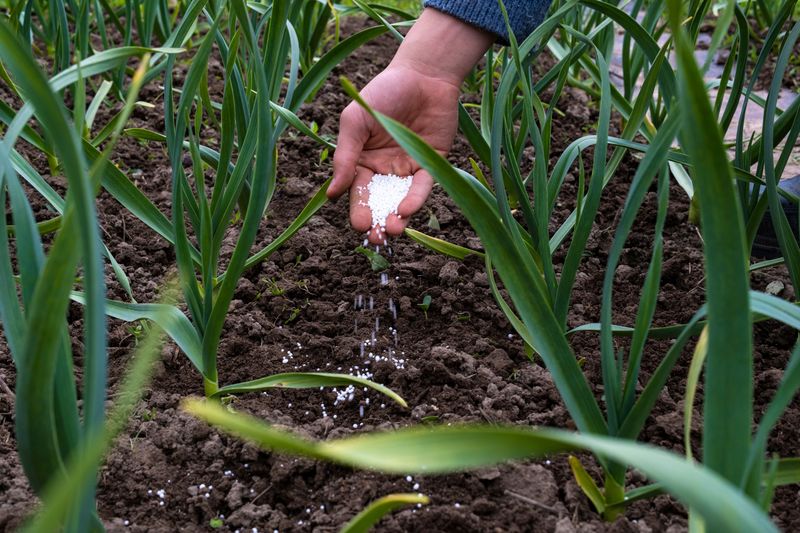 Epsom Salt for Magnesium