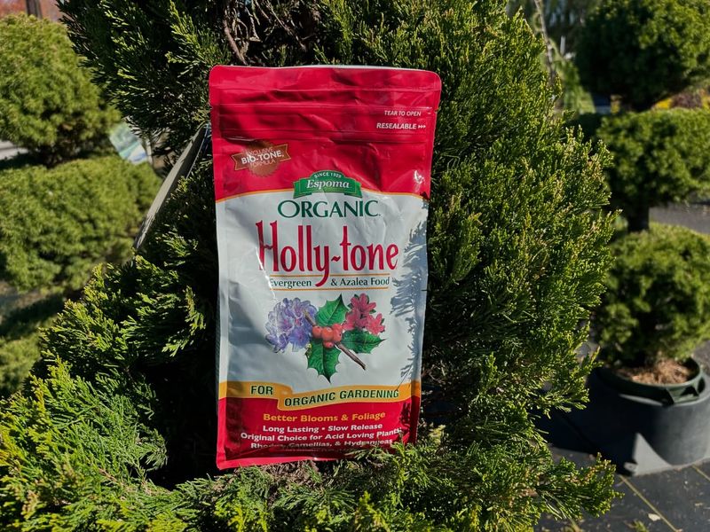 Epsoma Organic Holly-Tone; Evergreen & Azalea Food