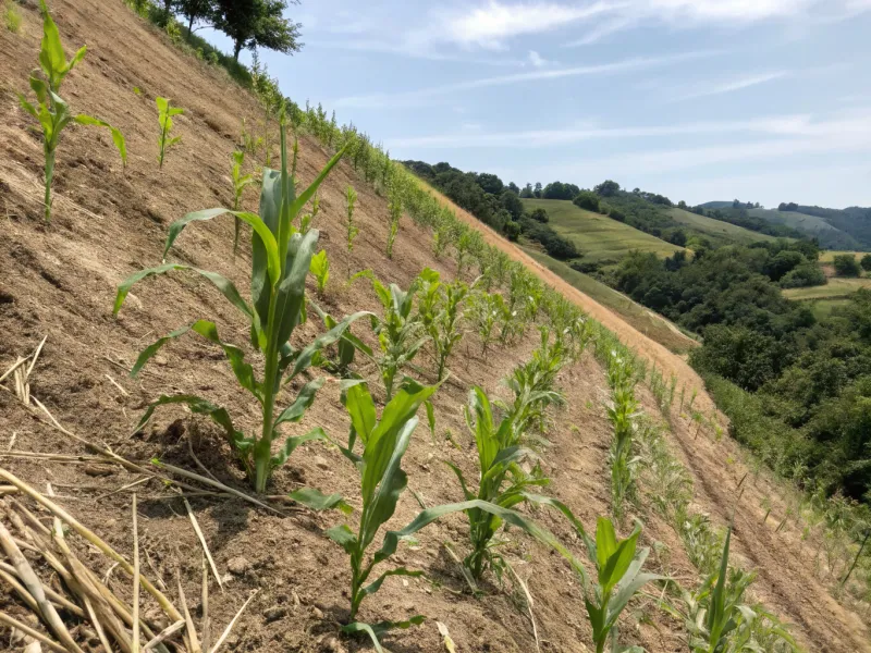 Erosion Control