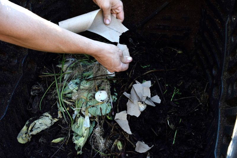 Fact 6: Shredded Paper Adds Carbon