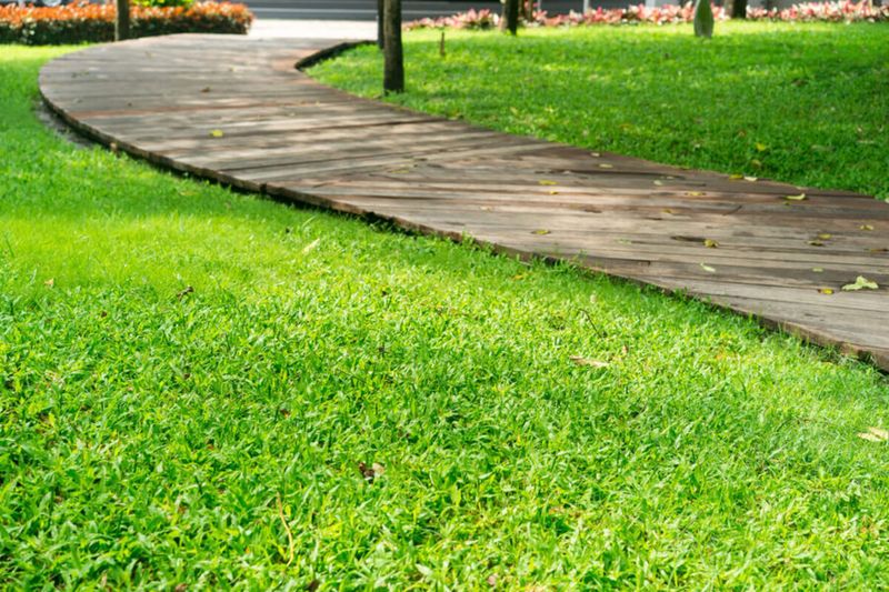 Overlooking Lawn Edging