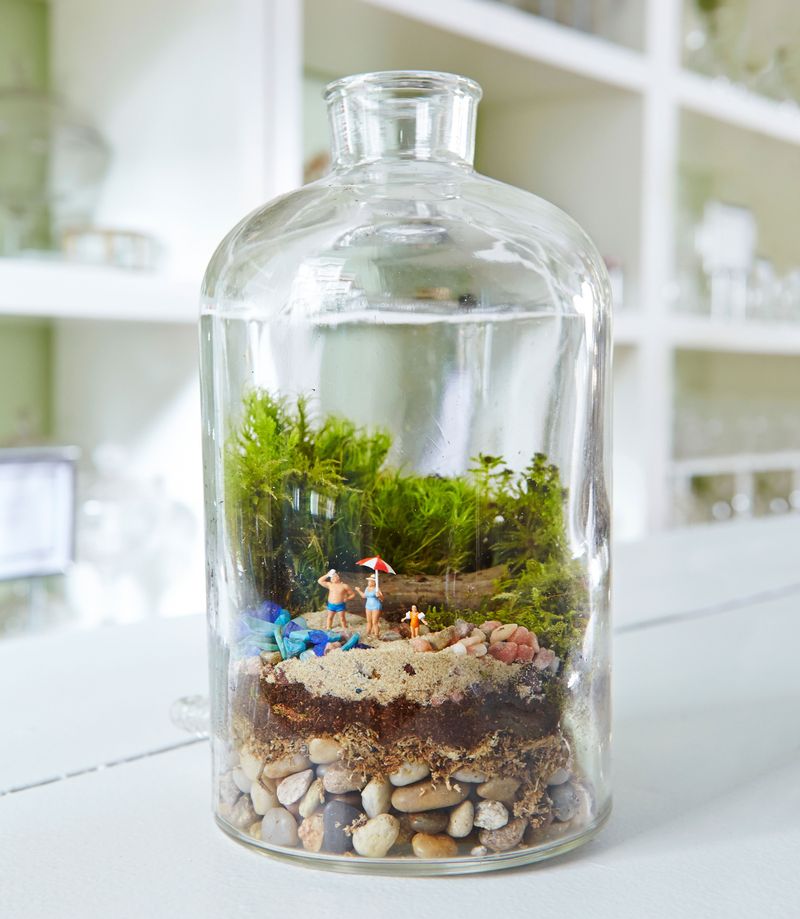 Fairy Garden Terrariums