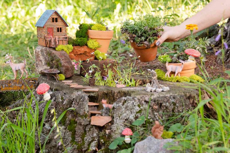 Fairy Garden