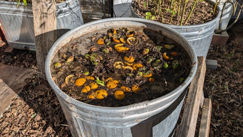 Fertilize with Compost Tea