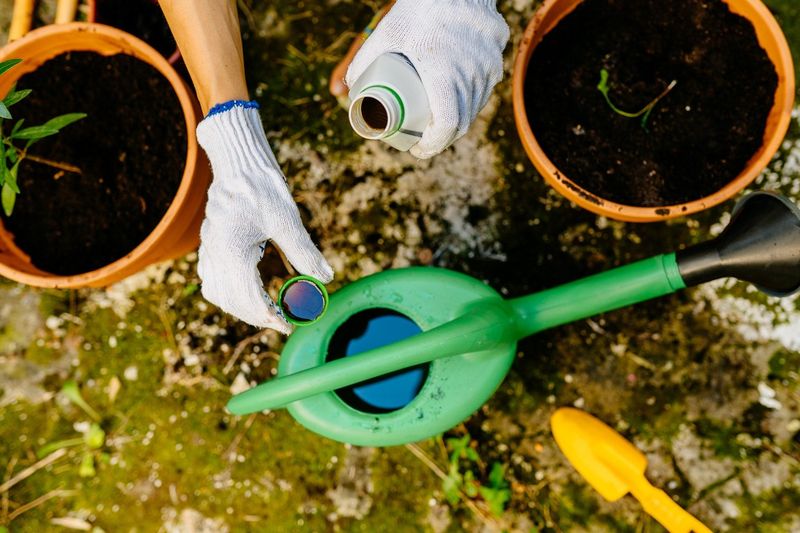 Fertilizing Strategy