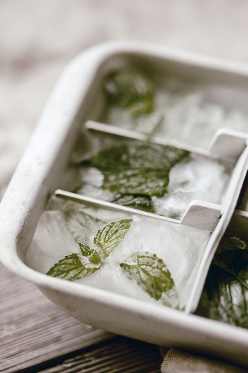 Flavorful Ice Cubes