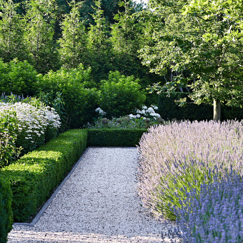 Fragrant Herb Borders