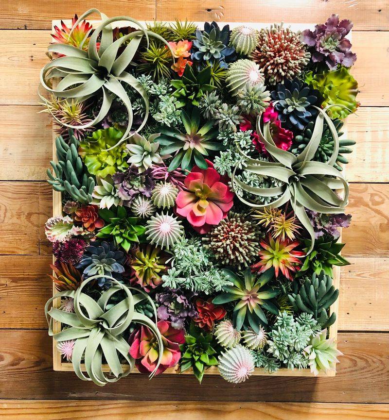 Succulent Wall Art