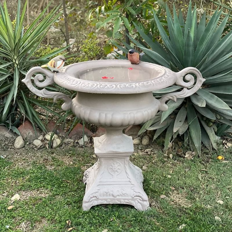 Garden Bird Bath