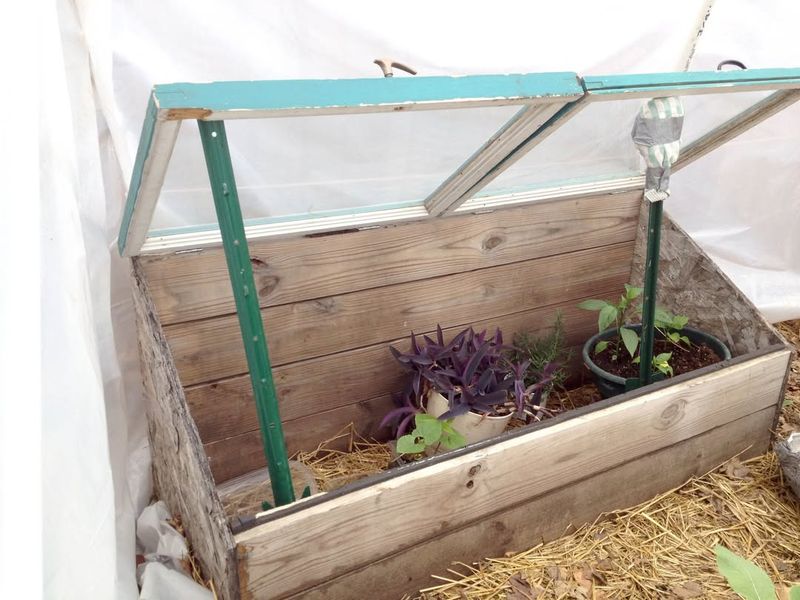 Garden Cold Frame