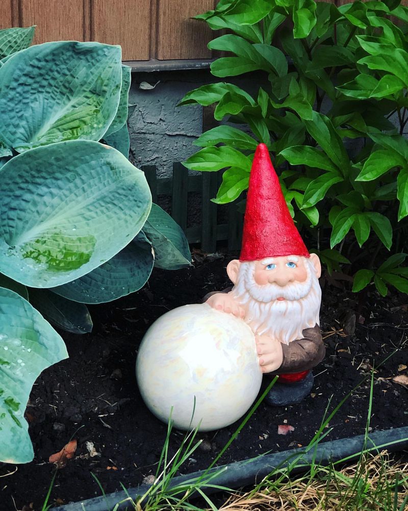 Garden Gnomes with a Twist