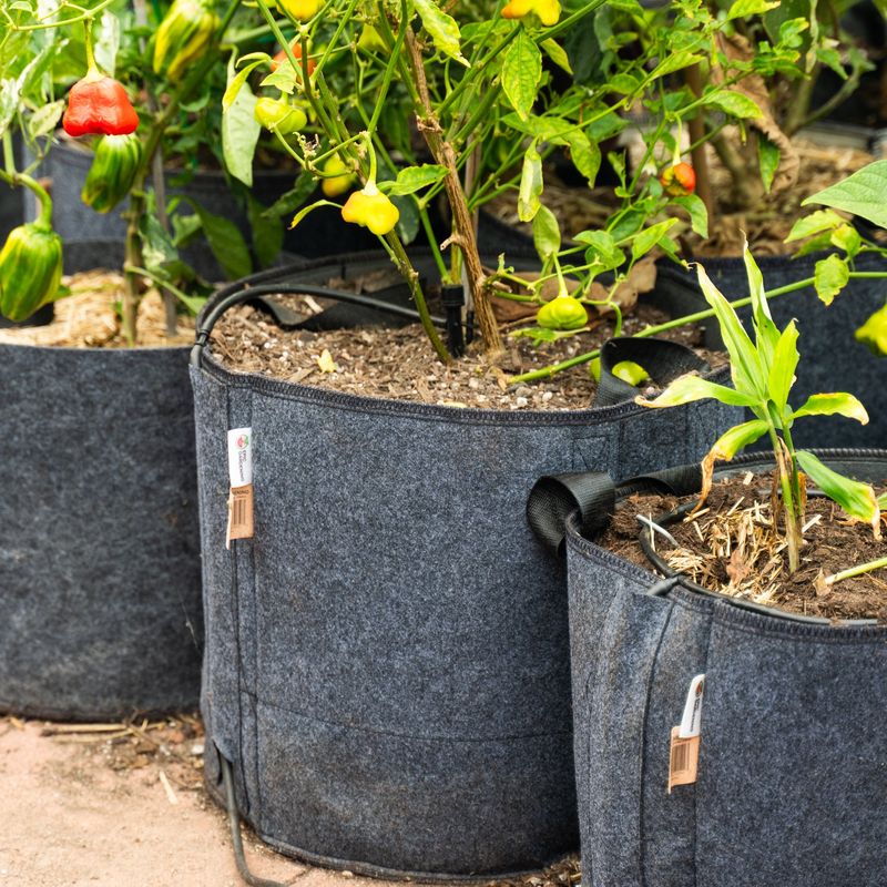 Garden In A Bag