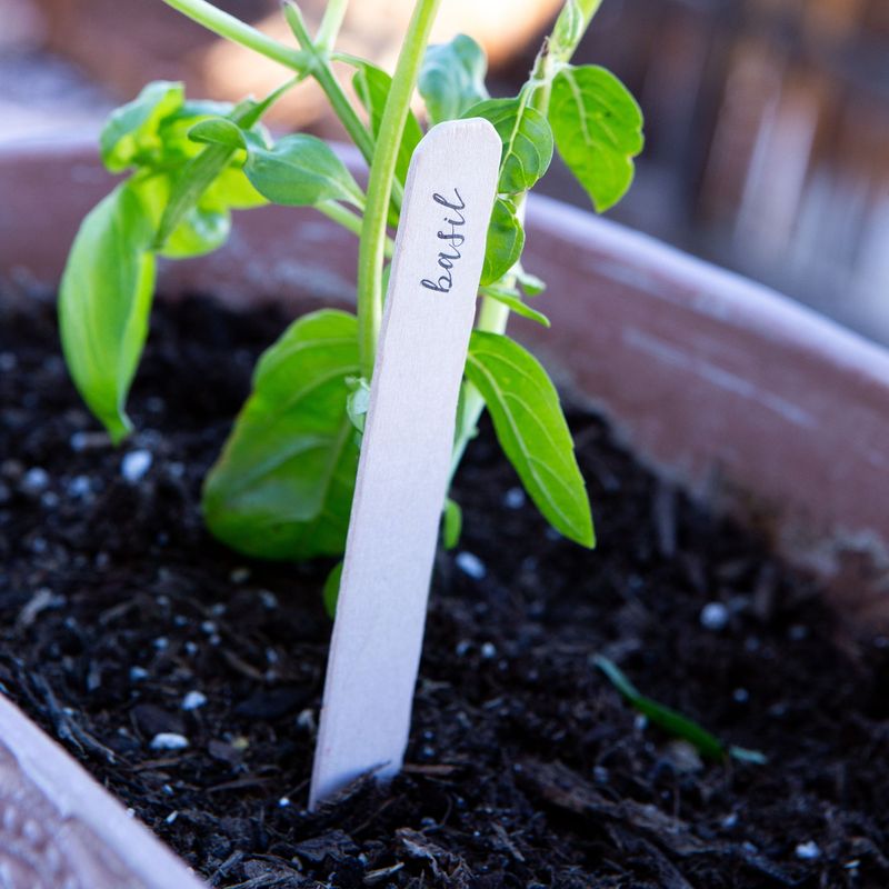 Garden Marker Stakes