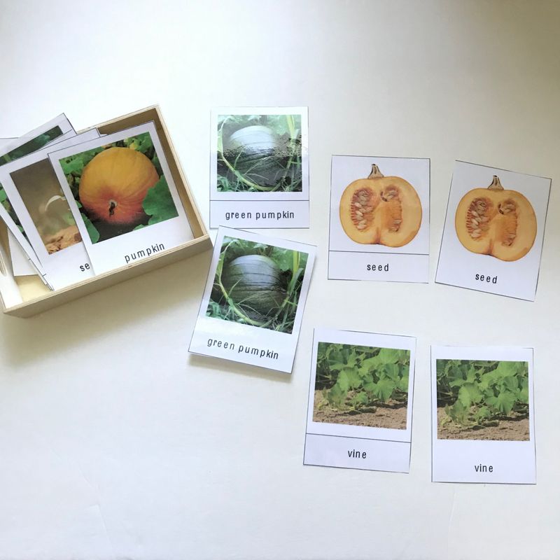 Garden Memory Game