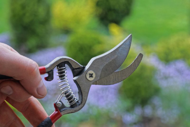 Garden Shears Technique