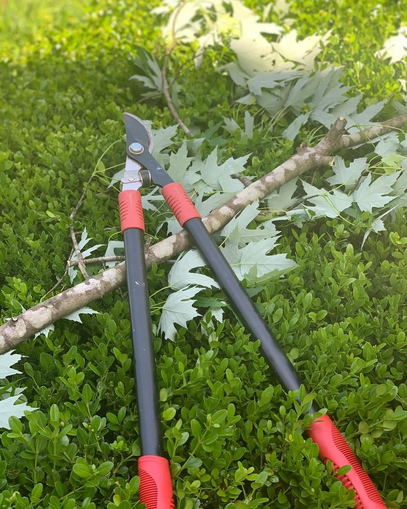 Garden Twine and Tie Tools