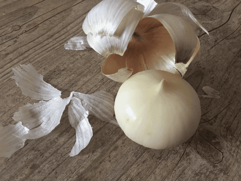 Garlic