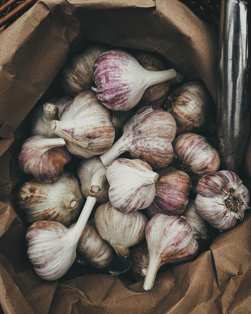 Garlic Guardians