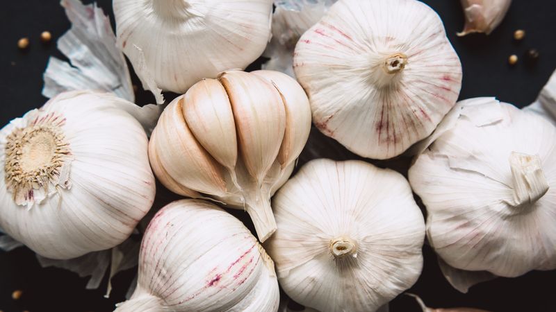 Garlic for Natural Pest Control