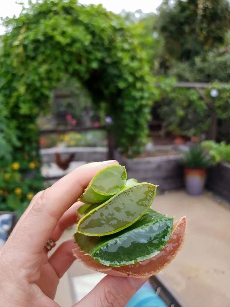 Gel Harvesting