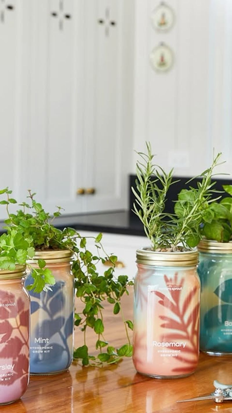 Glass Jar Herb Garden