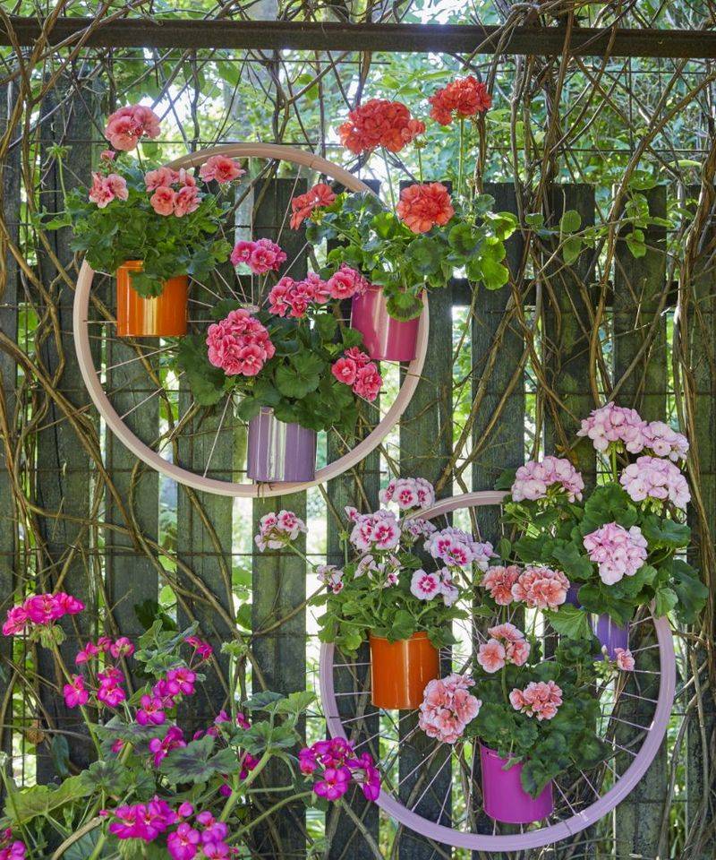 Bicycle Rim Trellises