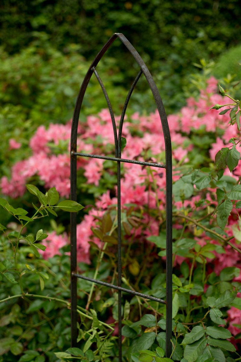 Gothic Trellises