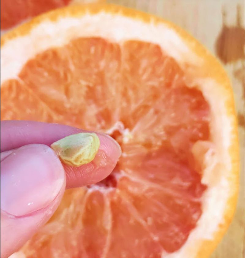 Grapefruit Seeds