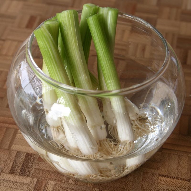 Green Onions