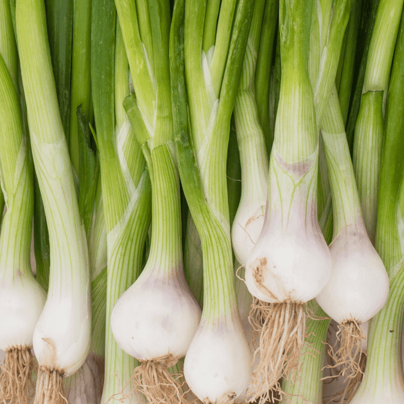 Green Onions