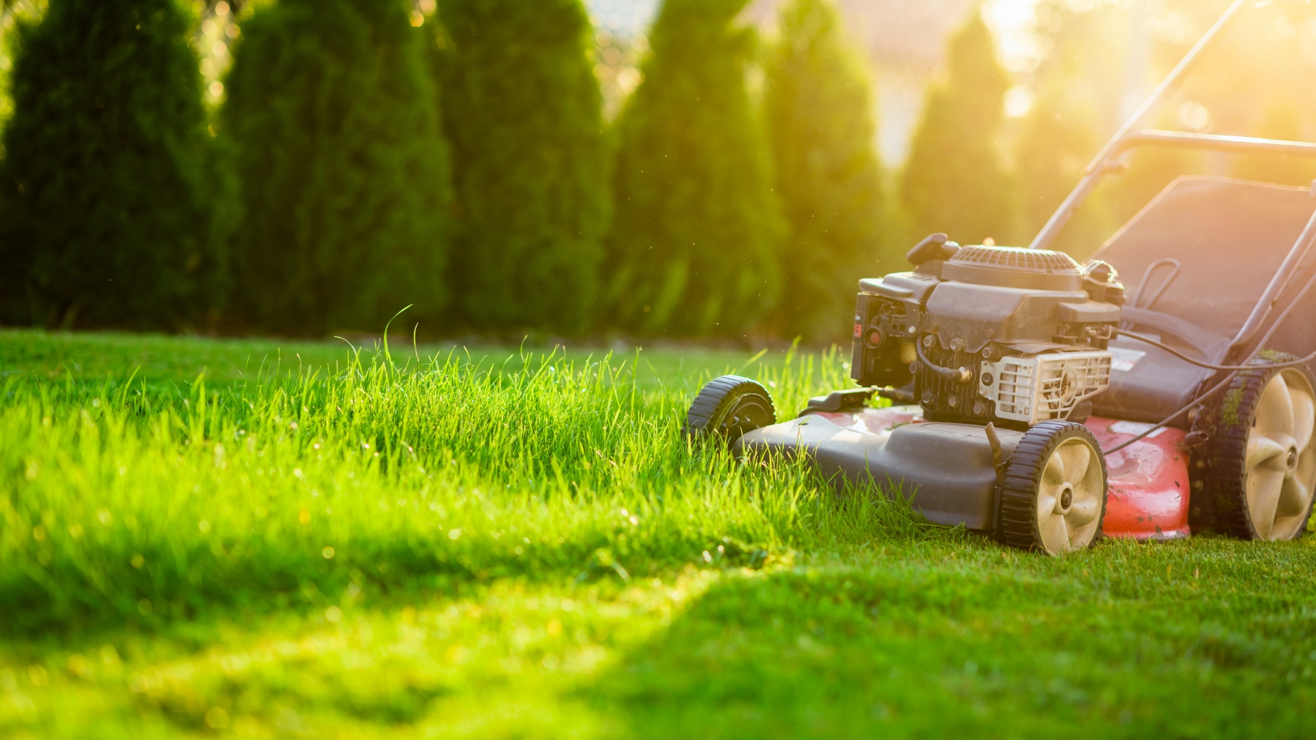 manicured lawn