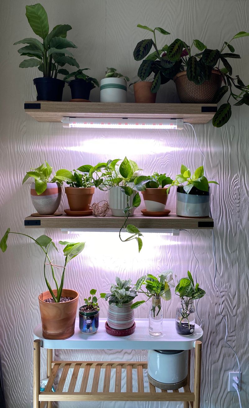 Grow Lights