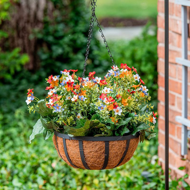 Hanging Baskets