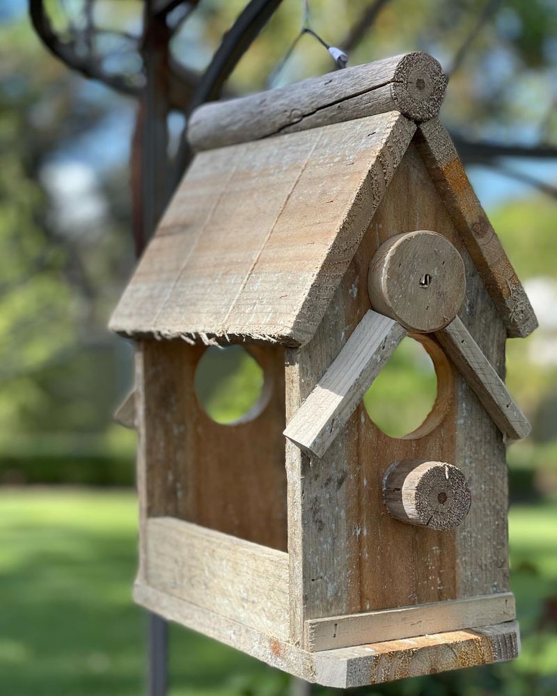 Hanging Bird Feeders