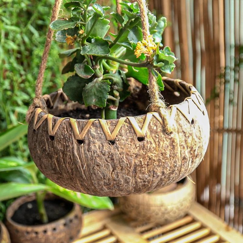 Hanging Coconut Planter