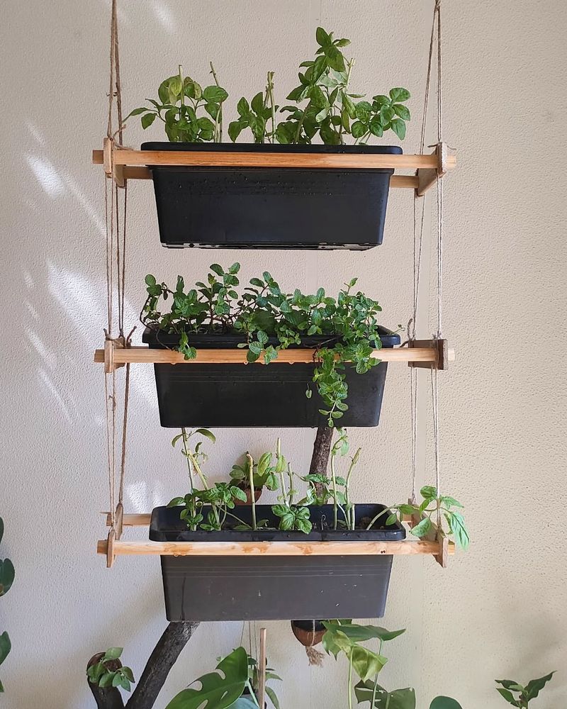 Hanging Herb Garden