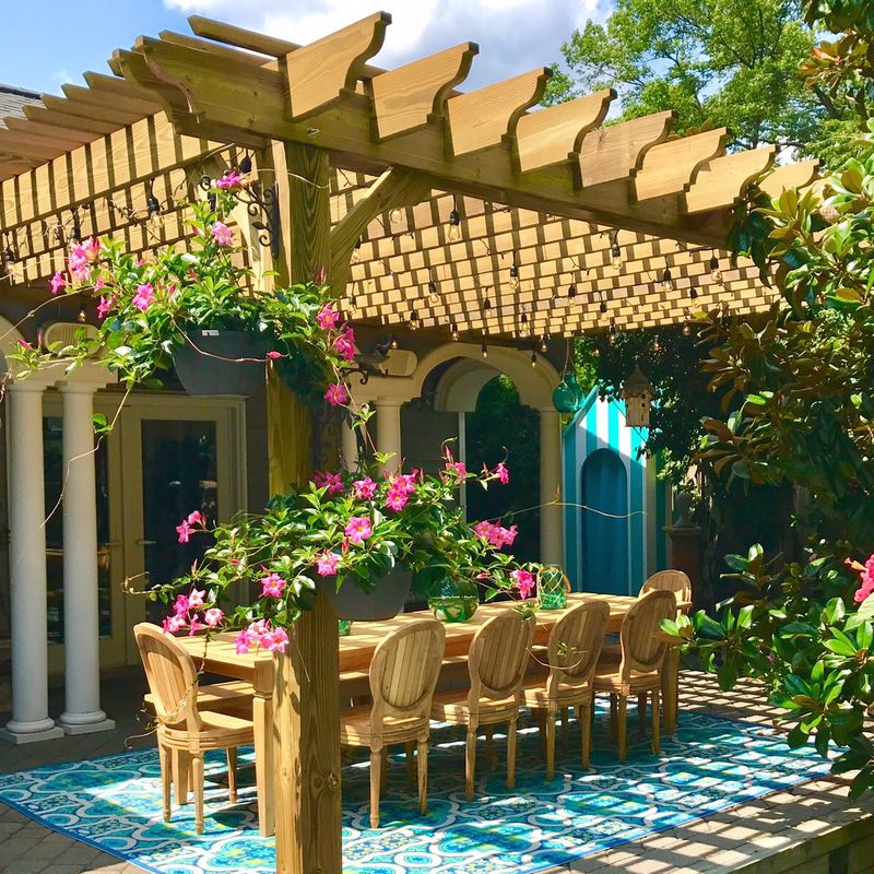 Hanging Plants Canopy