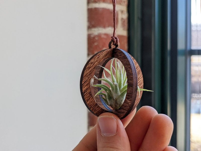 Hanging Wooden Ring