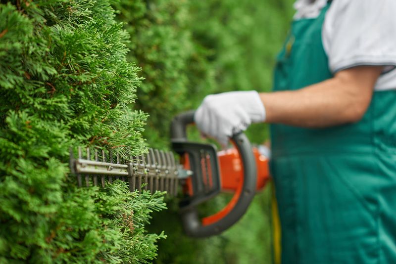 Hedge Trimmer Aid