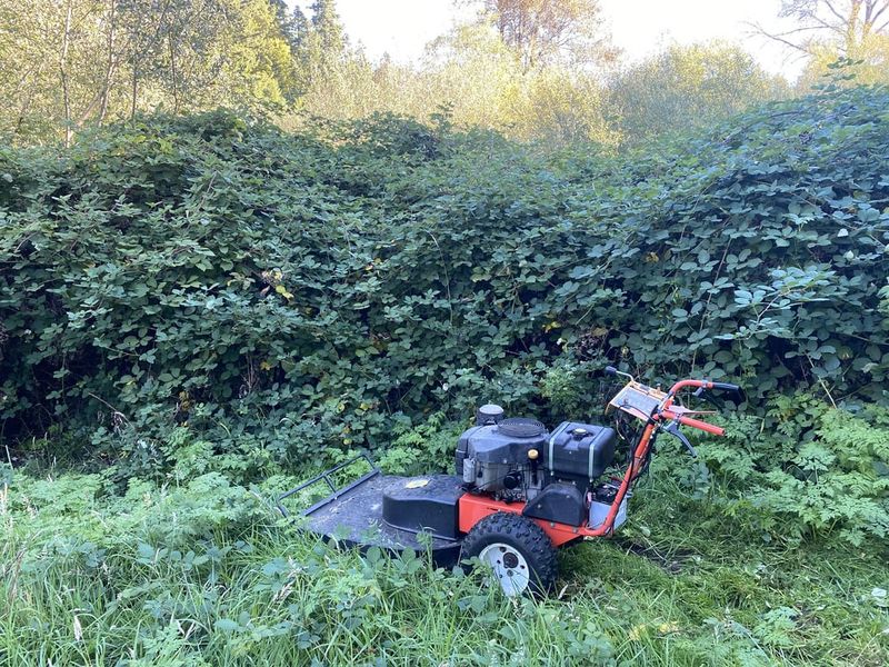 Hedge Trimmer