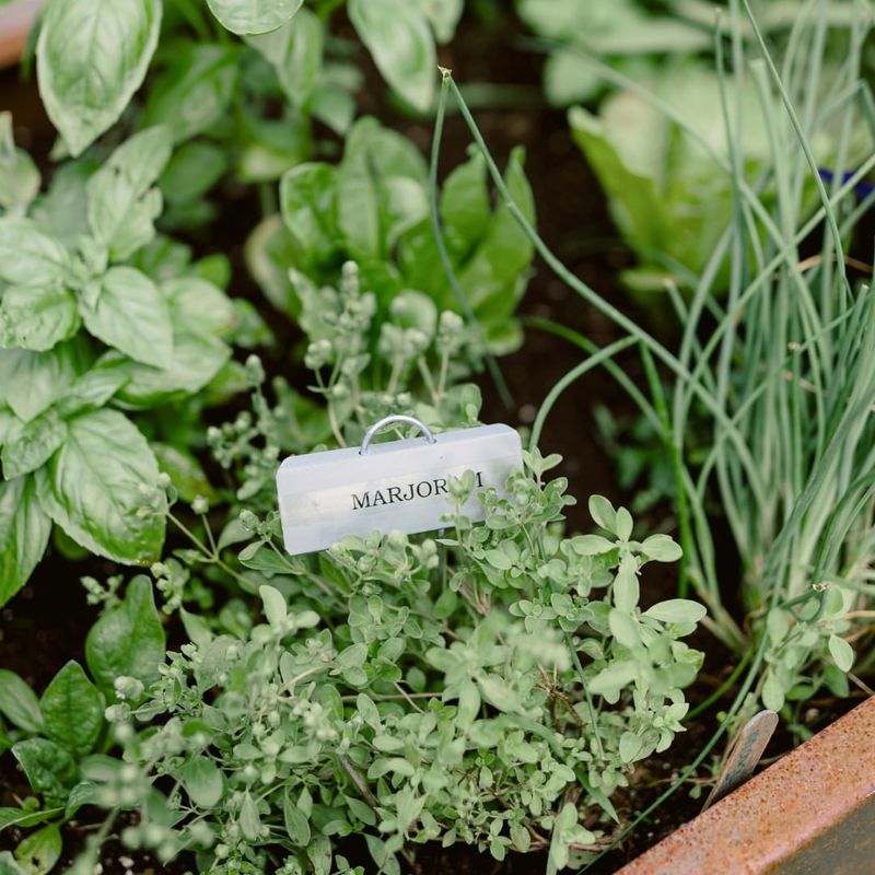 Herb Garden Enhancement