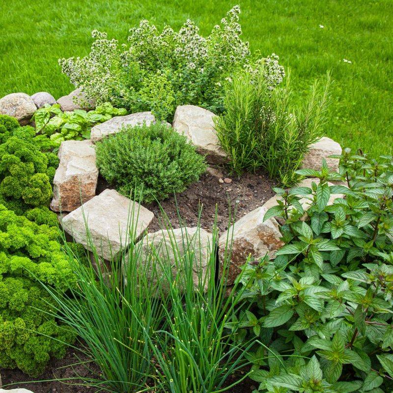 Herb Spiral Garden