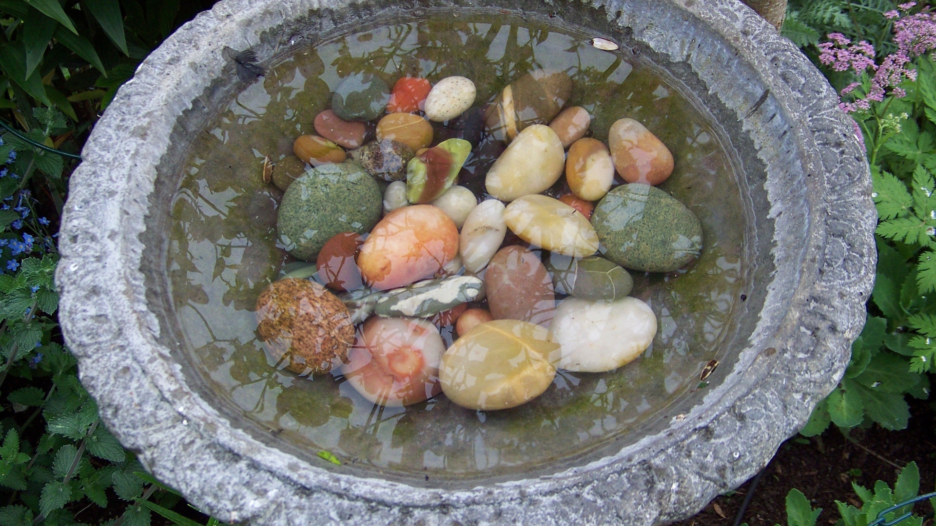 Here’s Why You Should Add Rocks To Your Birdbath