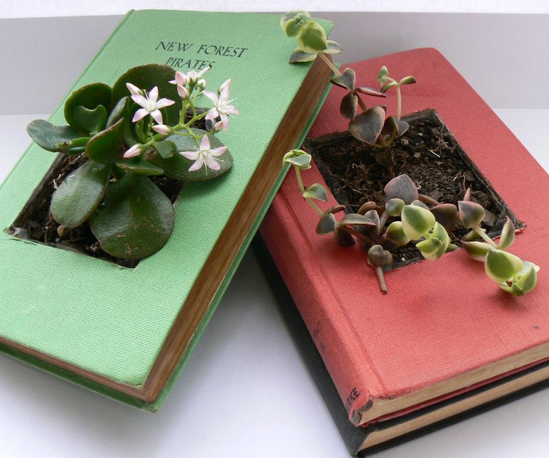 Hollow Book Planter