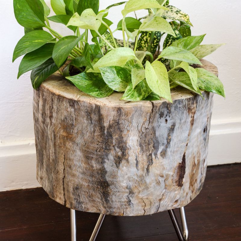 Hollow Log Planters